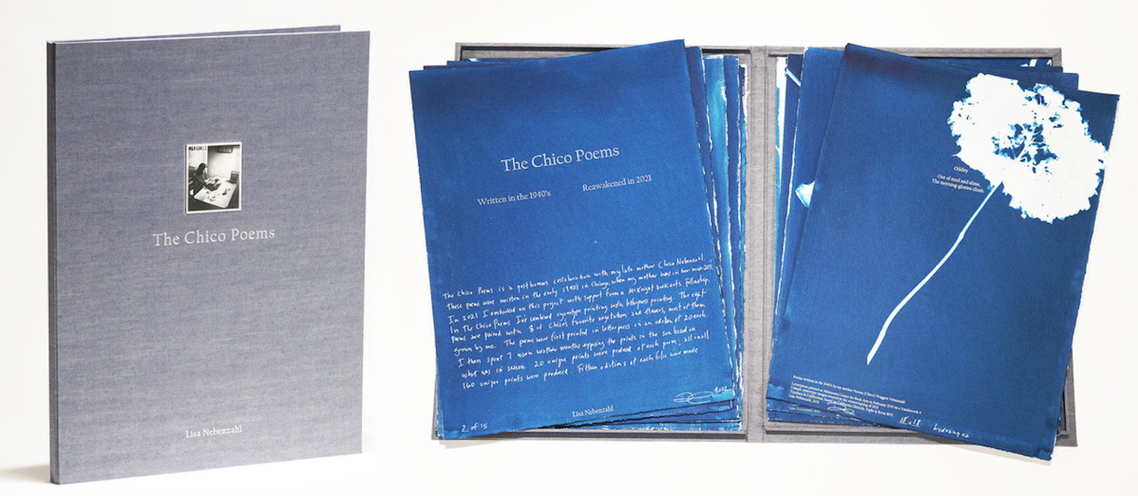 Lisa Nebenzahl will exhibit her The Chico Poems