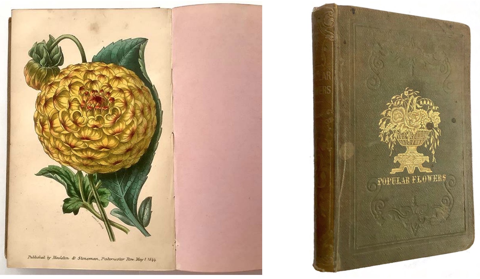 Popular Flowers: their cultivation, propagation and general treatment in all seasons by Robert Tyas