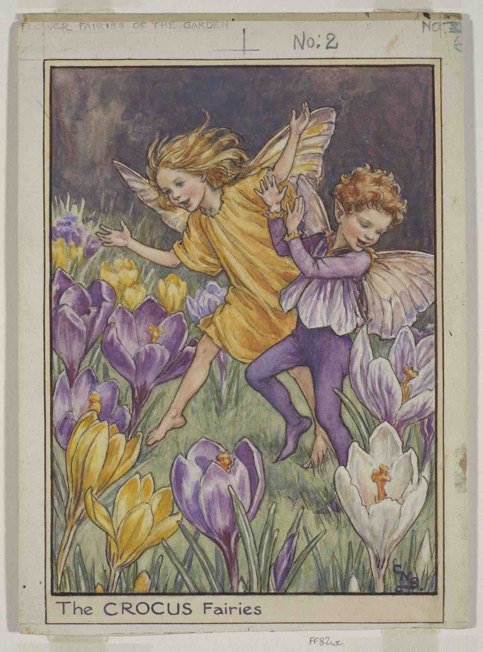 The Crocus Fairies from Flower Fairies of the Spring 