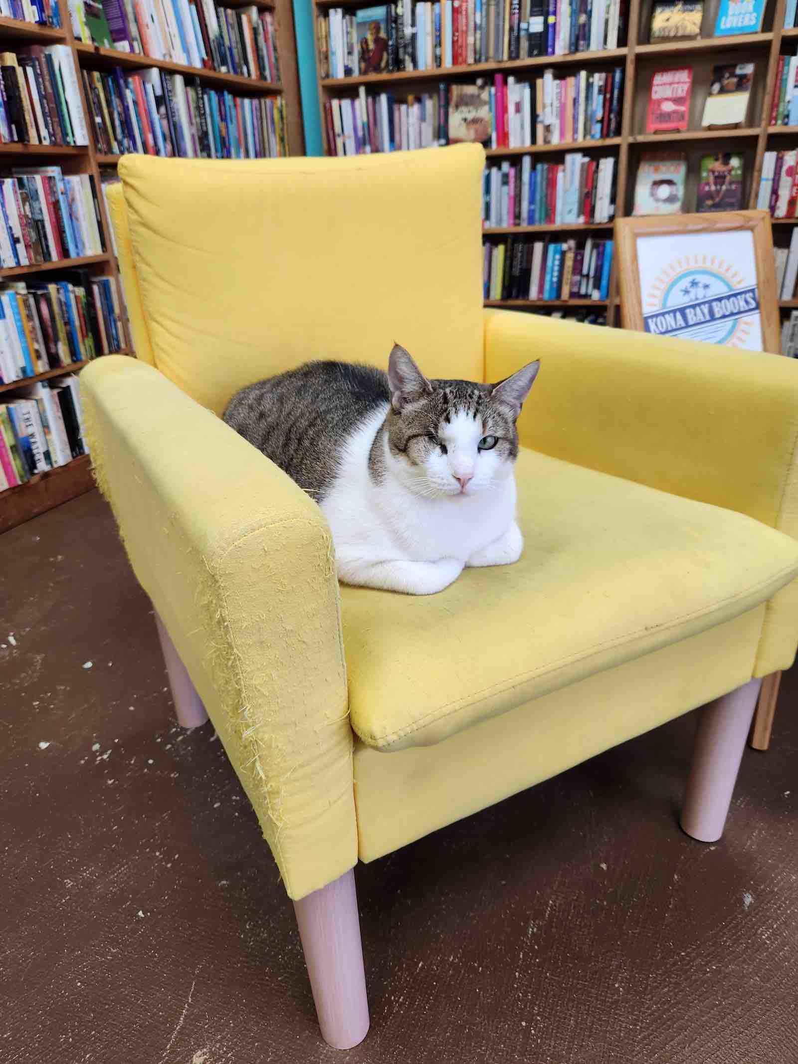 Inside Kona Bay Books