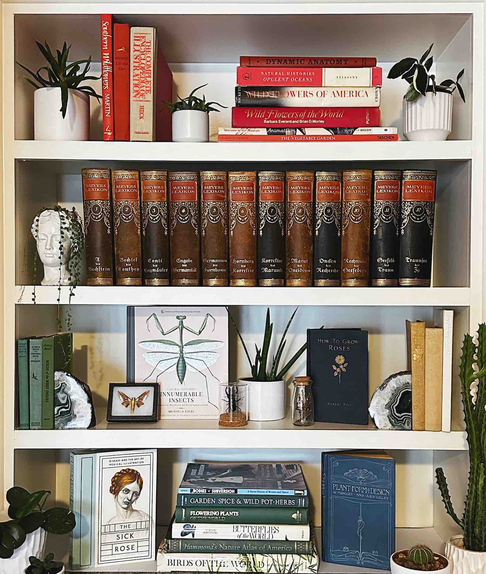 A selection of Auroura Morgan's collection