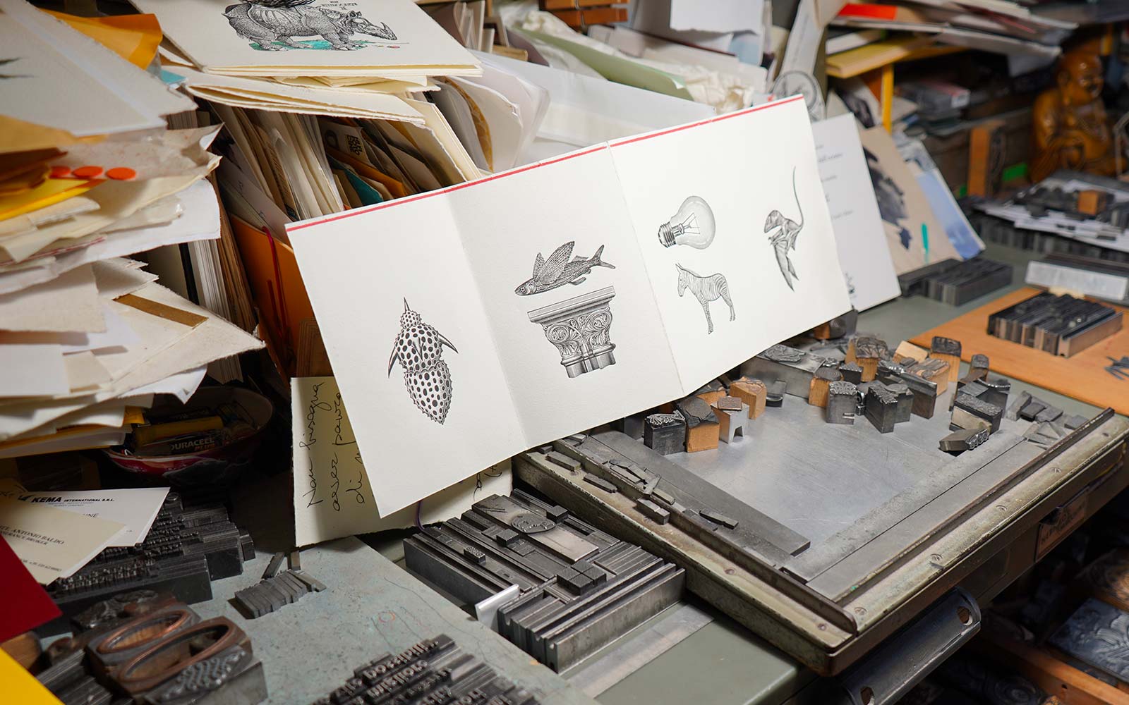 Pulcinoelefante studio