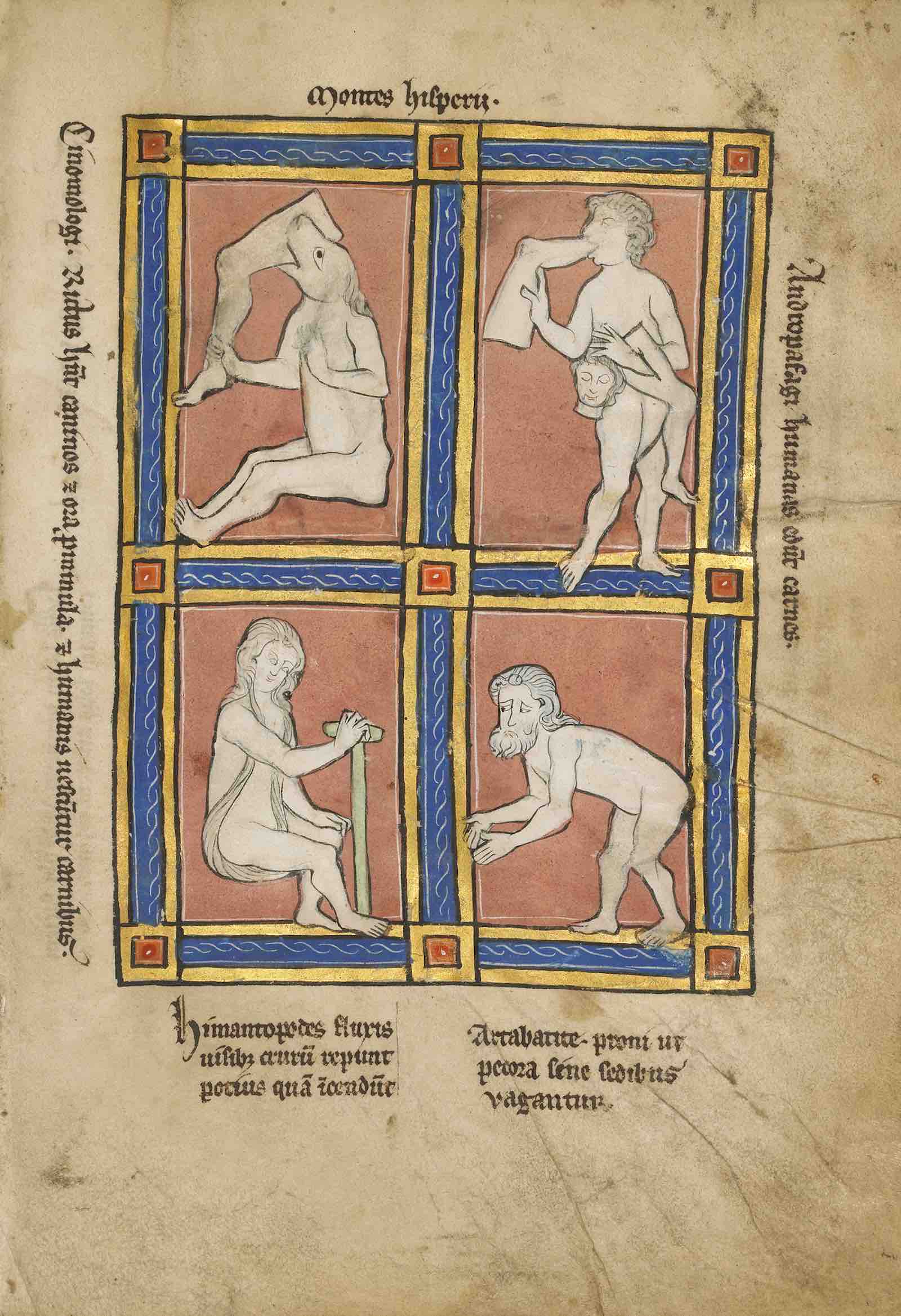 Cinomologus; Anthropophagus; Himantopode;  Artabatite, 1277 or after, from Wonders of the World, Franco-Flemish, tempera colors, pen and ink, gold leaf, and gold paint on parchment
