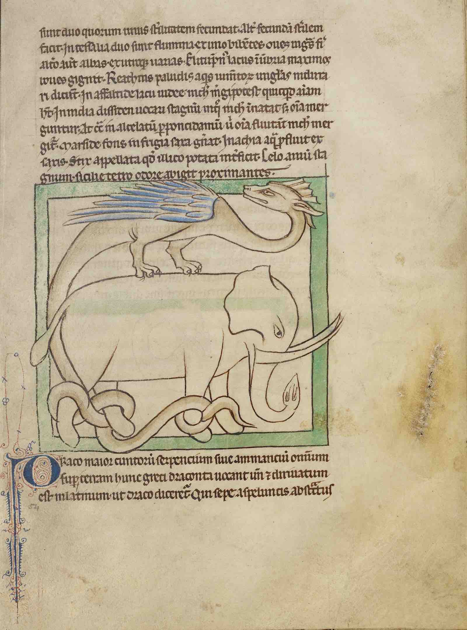 A dragon and an elephant, about 1250 – 60, from the Northumberland Bestiary, English, pen-and-ink drawings tinted with body color and translucent washes on parchment