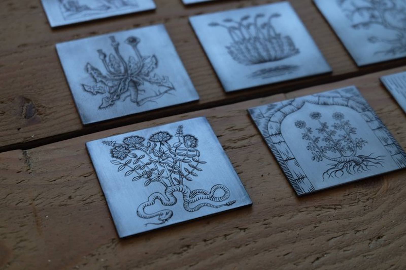 Brien Beidler's plates for Herbario Futuro