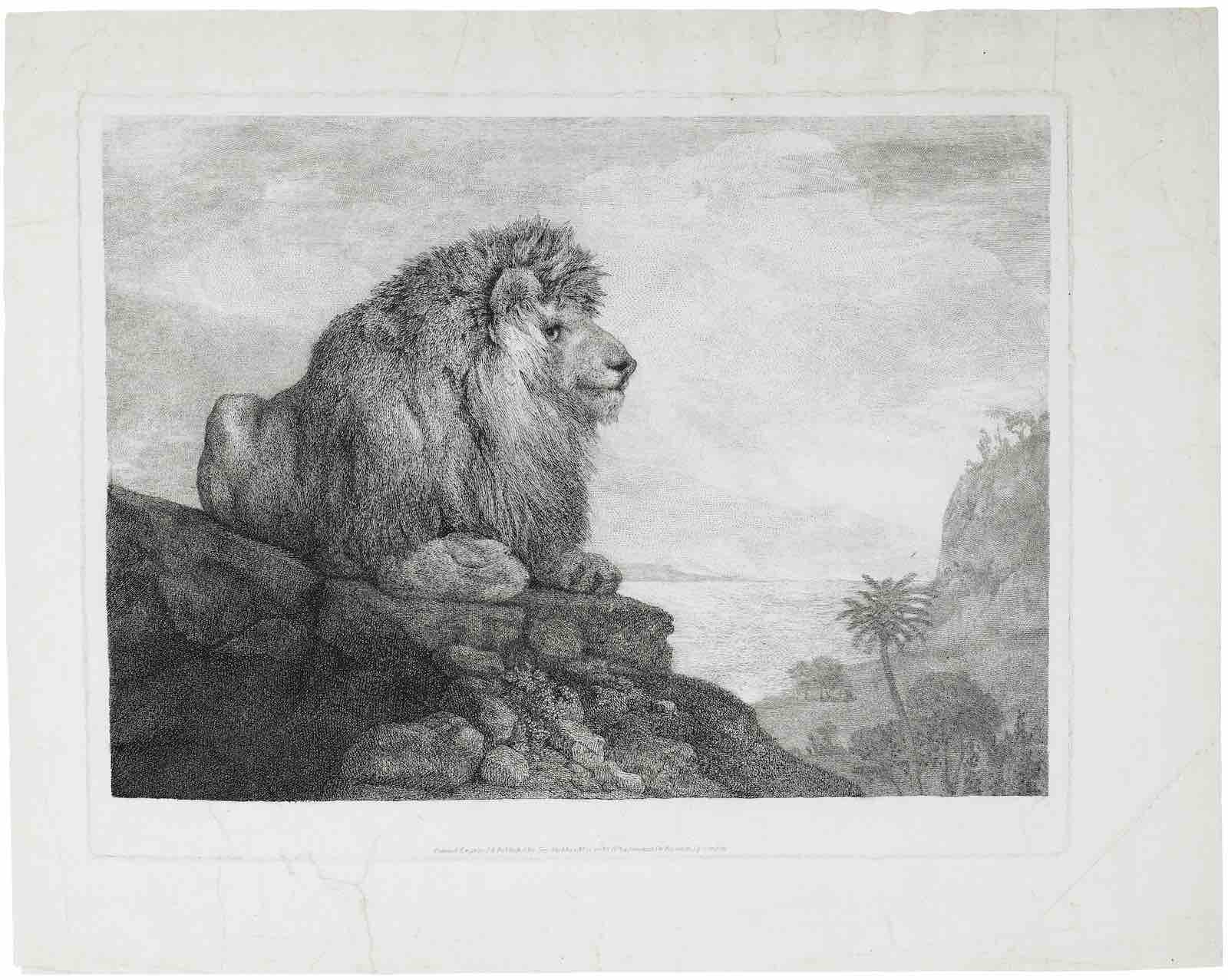 George Stubbs (1724-1806), A Lion (A Lion resting on a Rock), etching with roulette, on wove paper, 1788. Estimate: $20,000-$30,000.