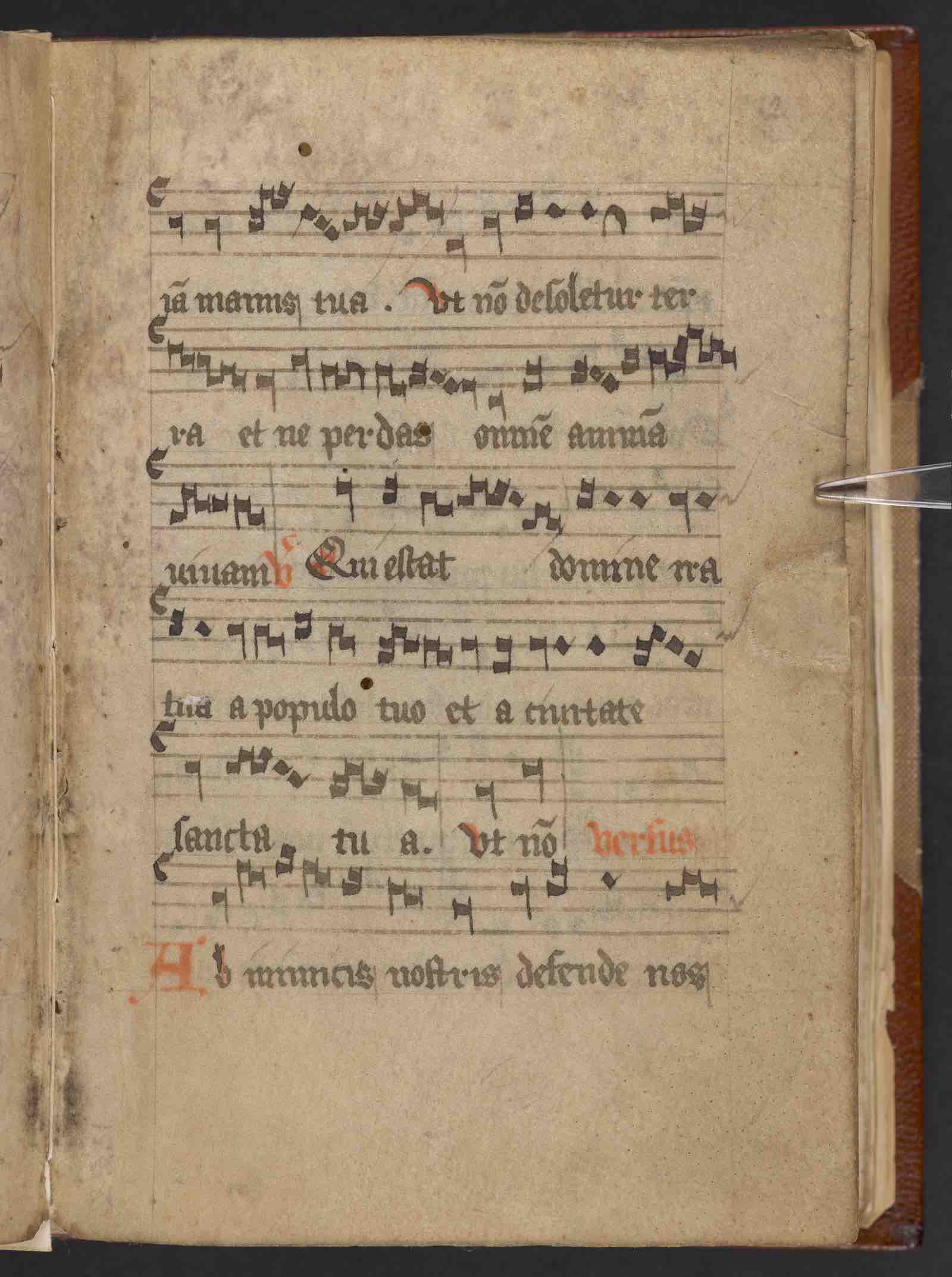 Part of the collection from the Buckland Book