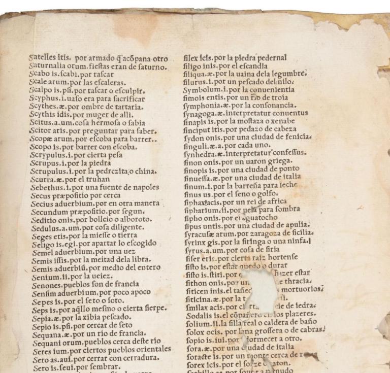 Gramatica Latinae