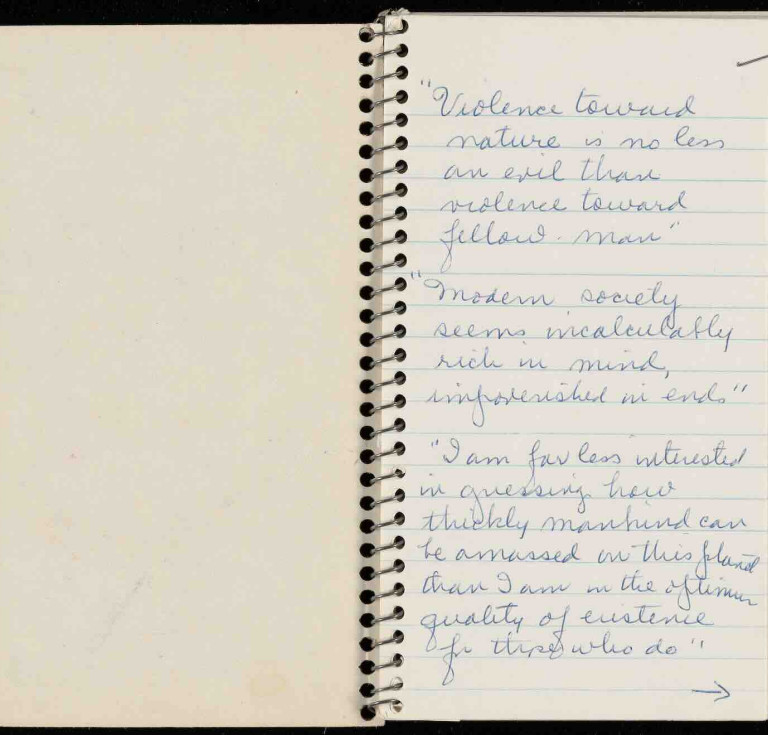 Notebook for Silent Spring